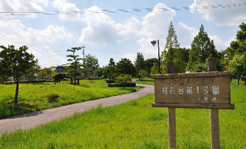 公園